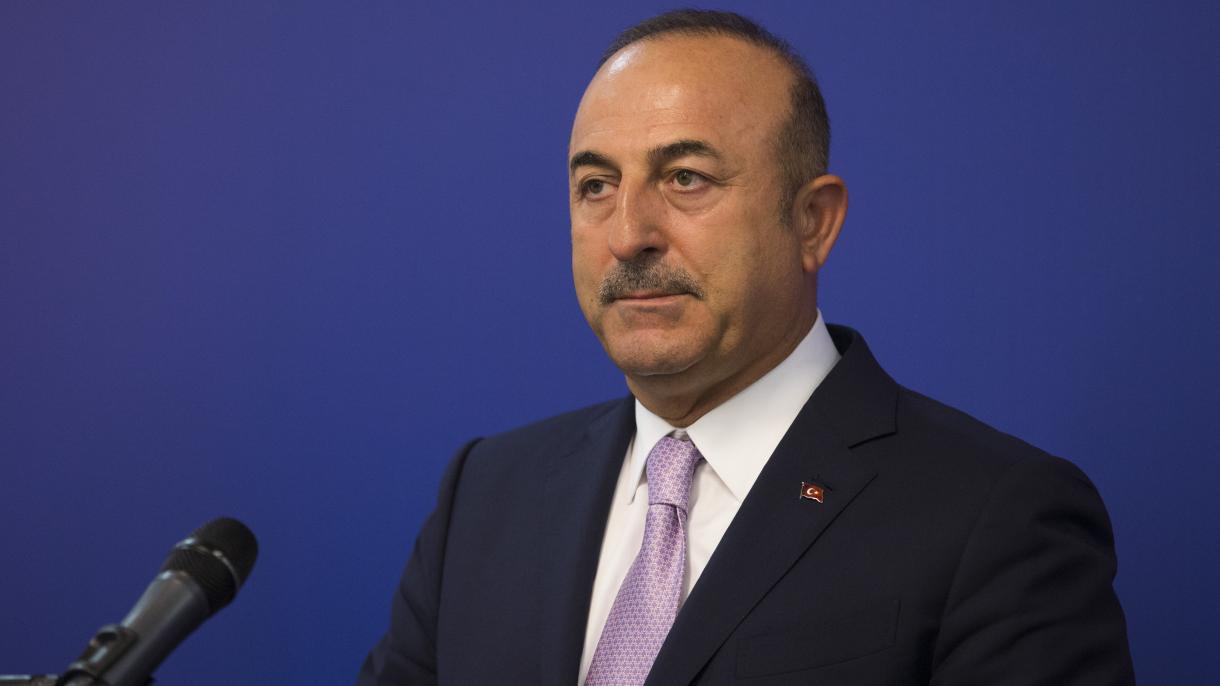 ترکی باغیوں کی وطن واپسی کے لیے کوششیں جاری رکھے گا، وزیر خارجہ