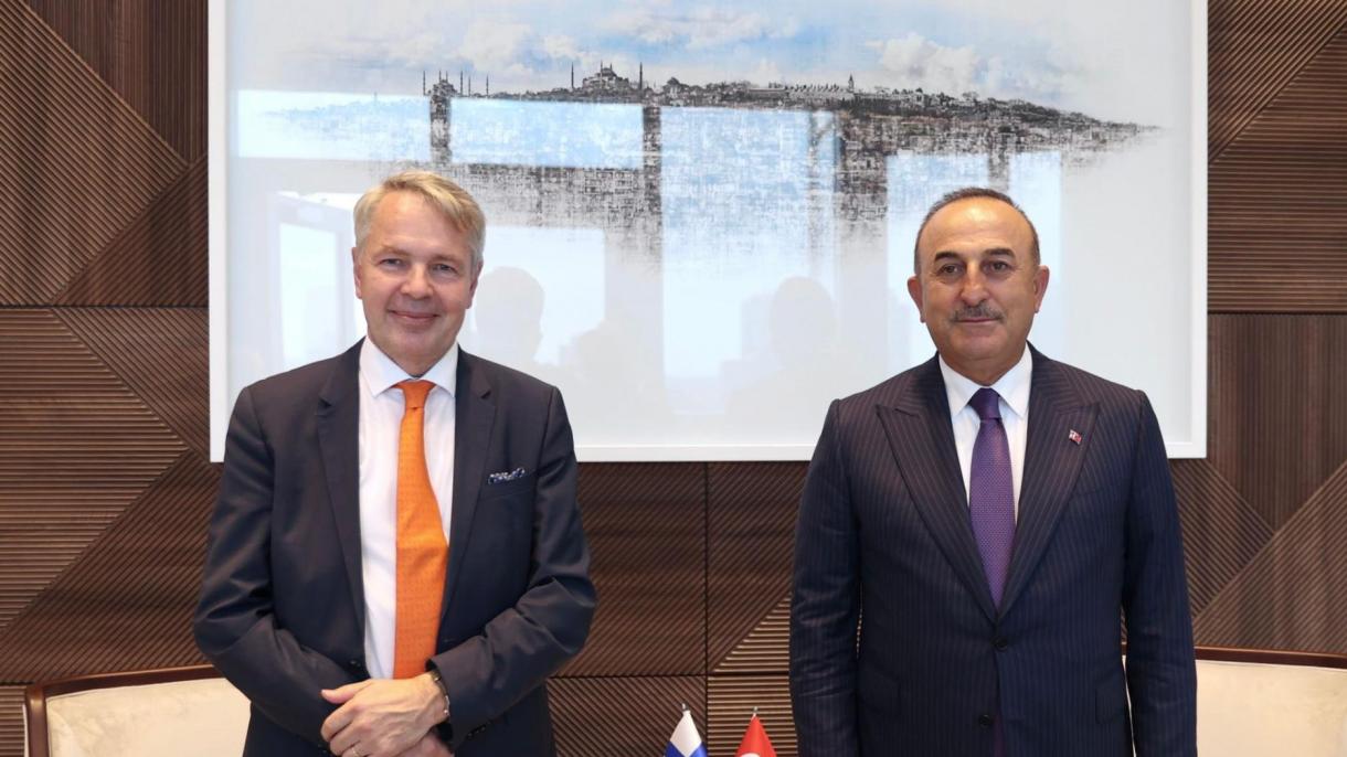 دیدار و گفت‌وگوی وزرای خارجه ترکیه و فنلاند در نیویورک