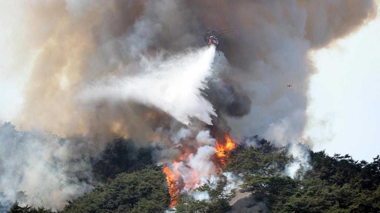 韩国发生森林大火