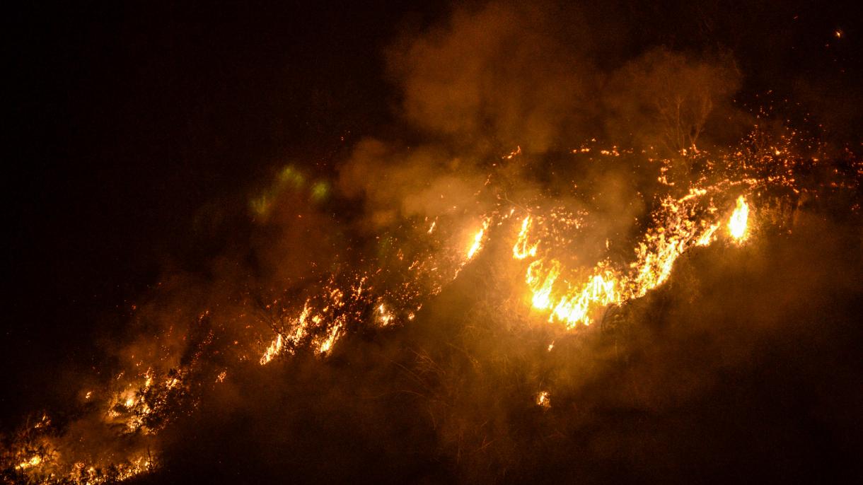 葡萄牙数十年来最严重森林大火致62死