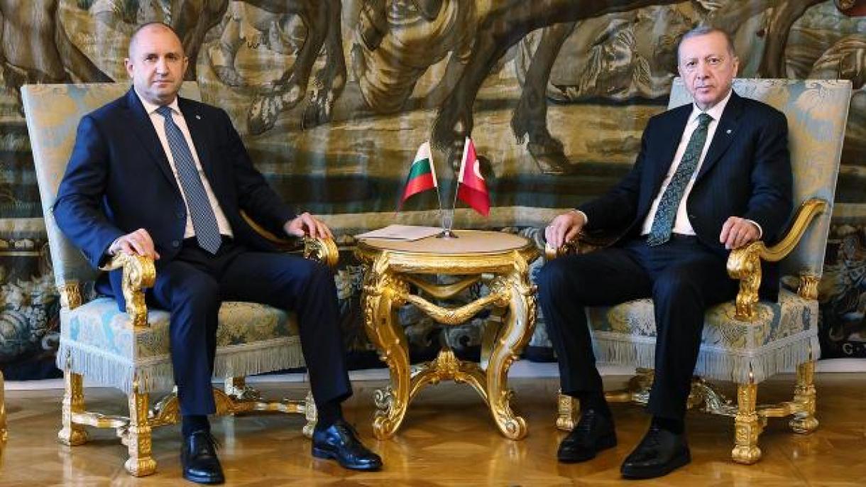 Ердоган проведе двустранна среща с българския президент Румен Радев