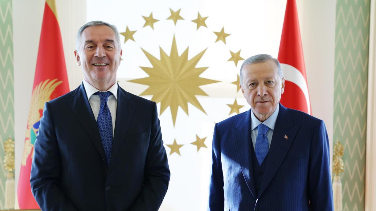 Prezident Erdog'an Chernogoriya Prezidenti Milo Dukanovich bilan uchrashdi