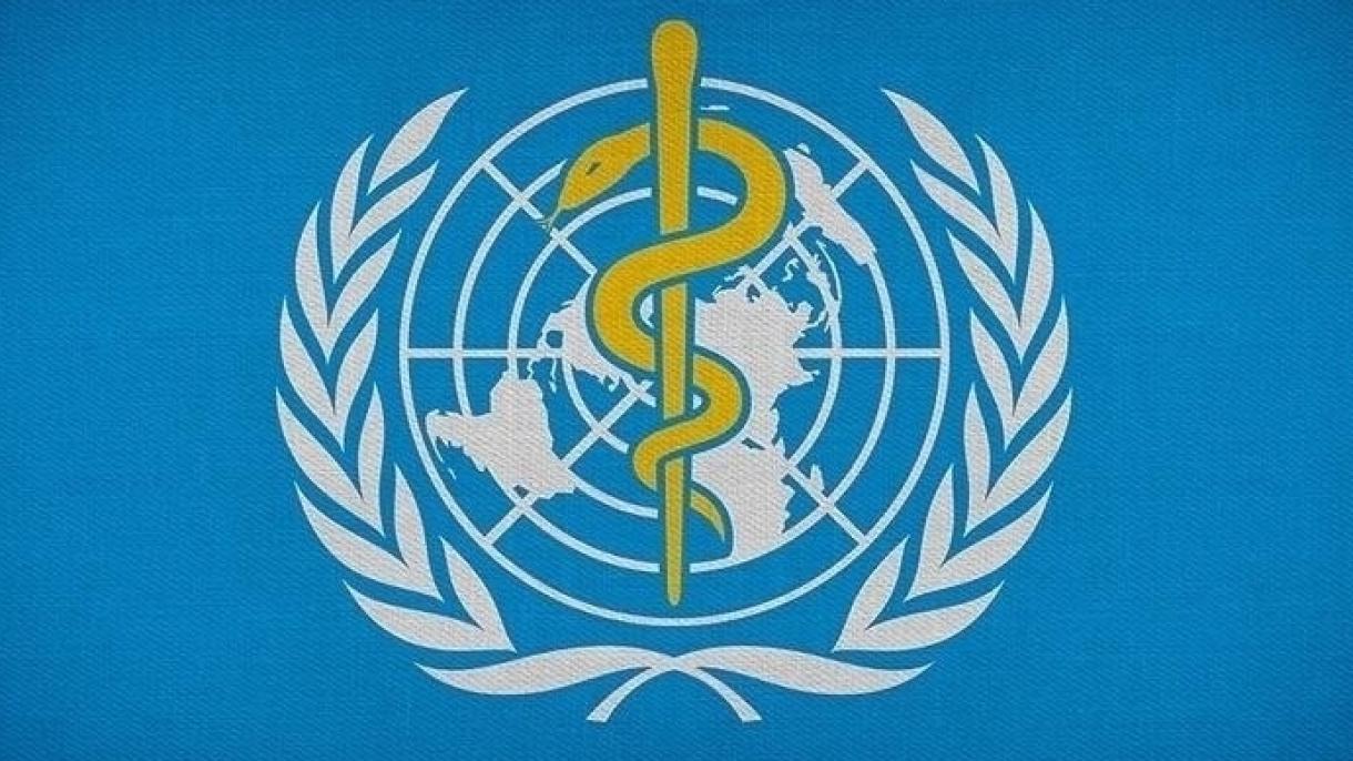 世卫组织讨论是否将猴痘病毒定为““国际公共卫生紧急事件”