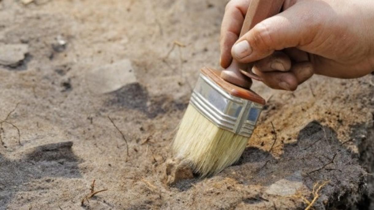 کشف استخوان های شش هزار ساله متعلق به یک نوزاد در هلند