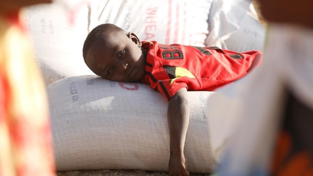 “La ayuda humanitaria se vio obstaculizado debido a la situación de seguridad mixta”