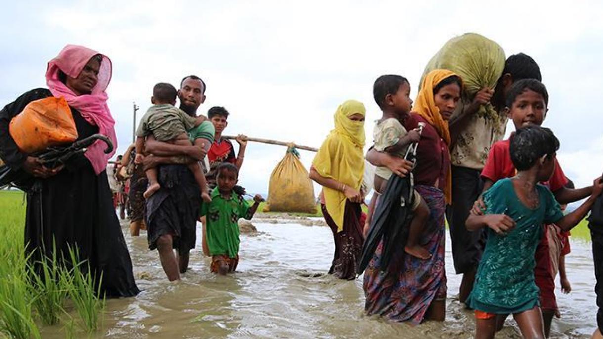 تصمیم جدید دولت بنگلادش در مورد انتقال گروه جدیدی از پناهندگان آراکانی به جزیره باشان‌چار