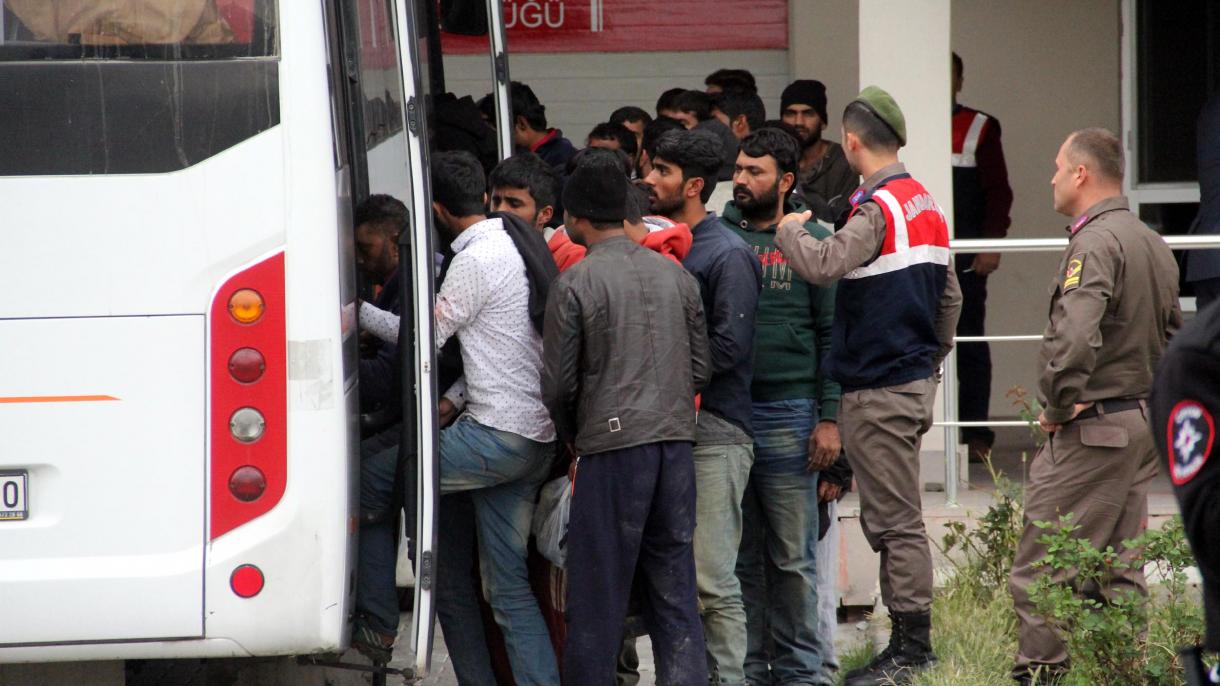 土耳其安全力量抓获62名偷渡客