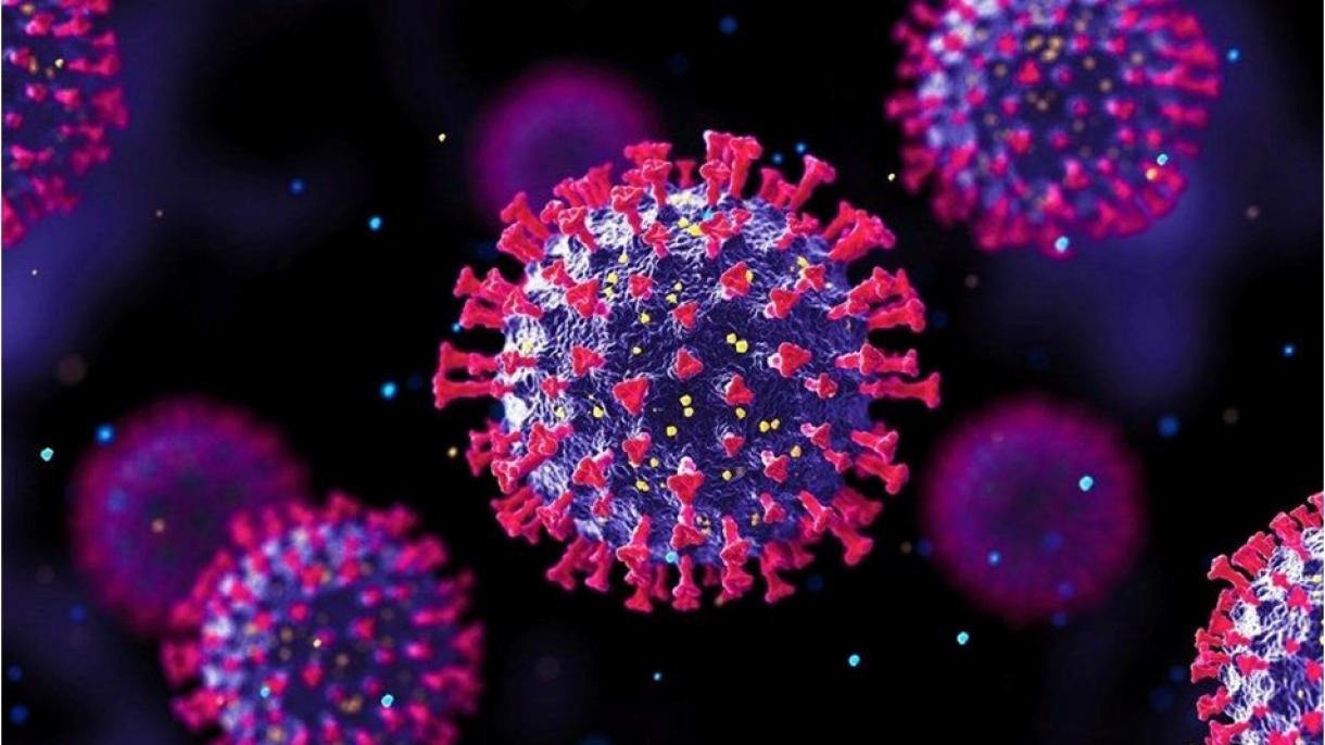 Los países del G7 afirman que la variante Ómicron del coronavirus requiere una acción urgente