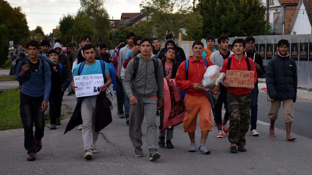 Belgradta qaçaqlar sıyınuçı üzägenä urnaştırılğan