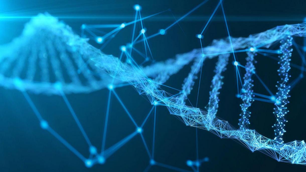 S-a descoperit că ADN-ul uman poate fi depistat în mediul înconjurător