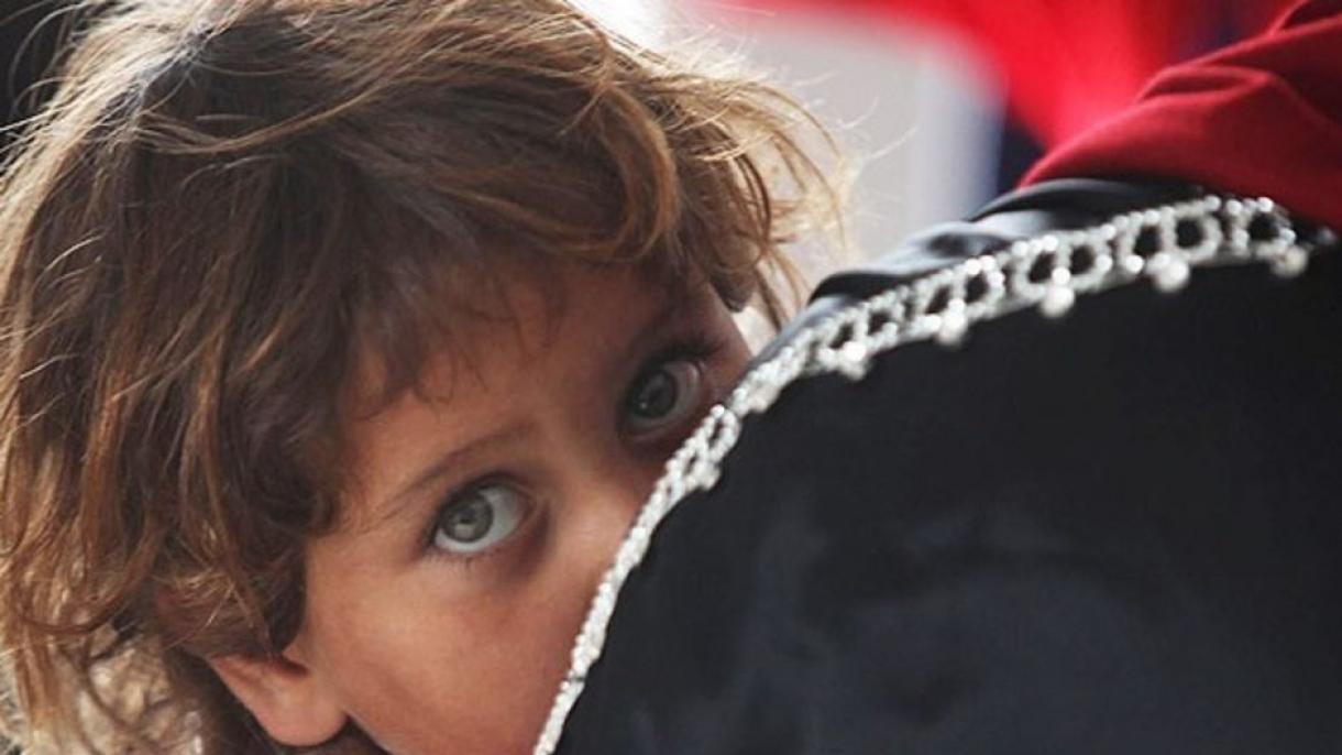 Governo brasileiro envia uma tonelada de ajuda humanitária para a Síria