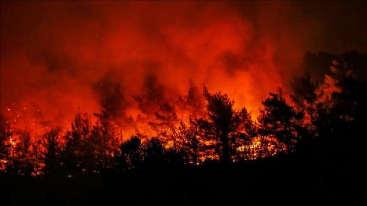 Bolsonaro culpa ONGs por incêndios graves na Amazônia