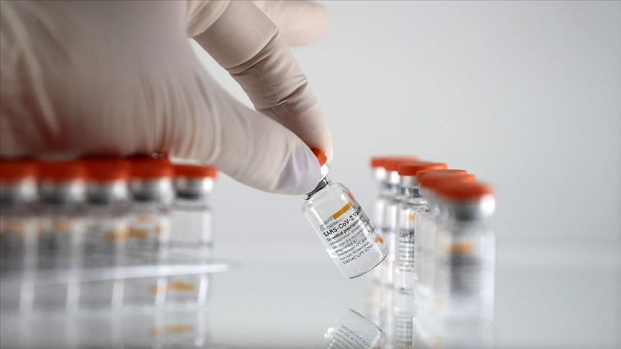巴勒斯坦将采购10万剂中国科兴新冠疫苗