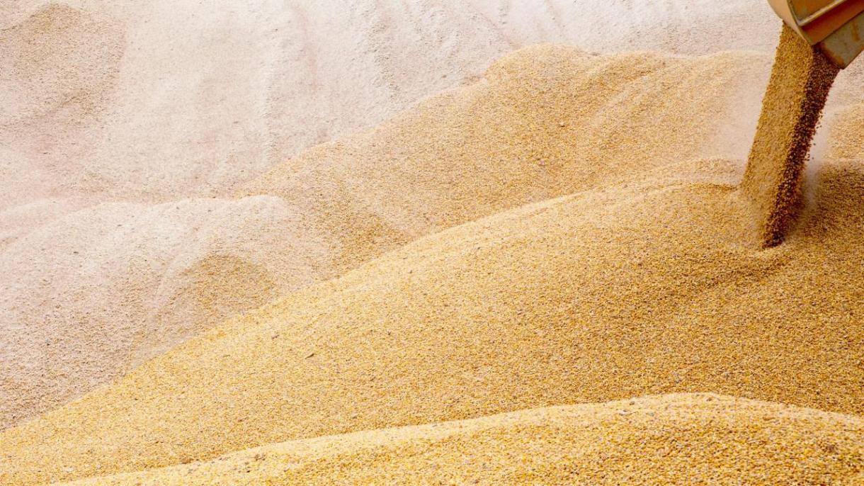 Rusia no ve ninguna razón para prorrogar el acuerdo sobre los cereales ucranianos