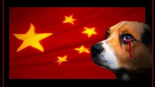 ჩინეთში „ძაღლის ხორცის ფესტივალ“-ის საპროტესტო კამპანია