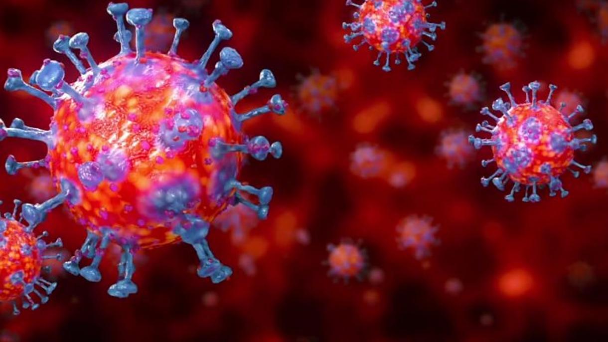 دنیا کورونا وائرس کے پنجے میں، مریضوں کی تعداد لاکھ 50 ہزار سے تجاوز کر گئی
