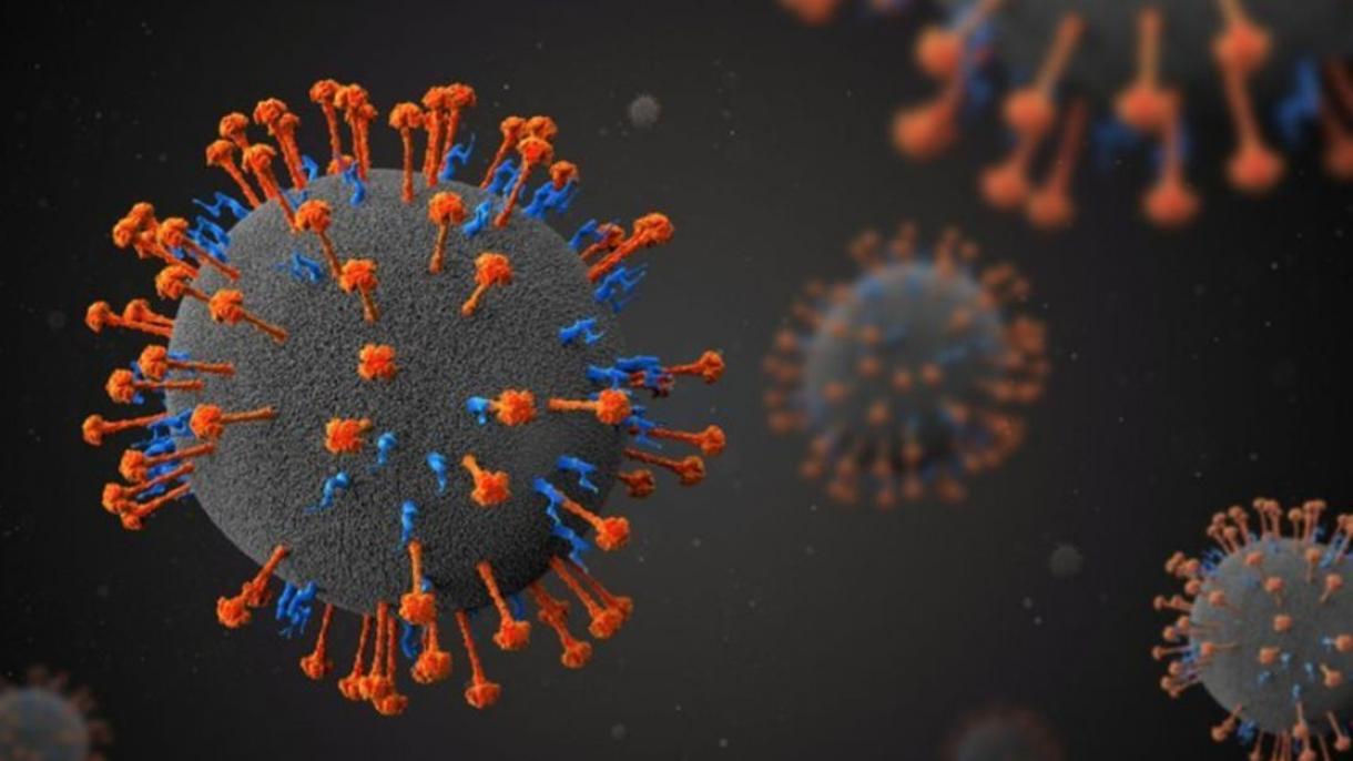 Hindistanda koronavirusdan 75 qat daha ölümcül virus aşkarlanıb