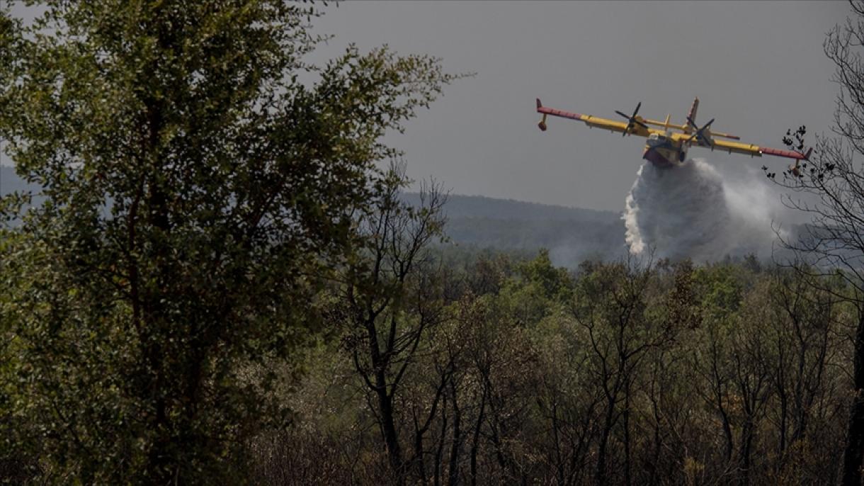 مراکش کے شمال میں لگنے والی آگ سے 6 ہزار 600 ہیکٹر جنگلات کا رقبہ تباہ