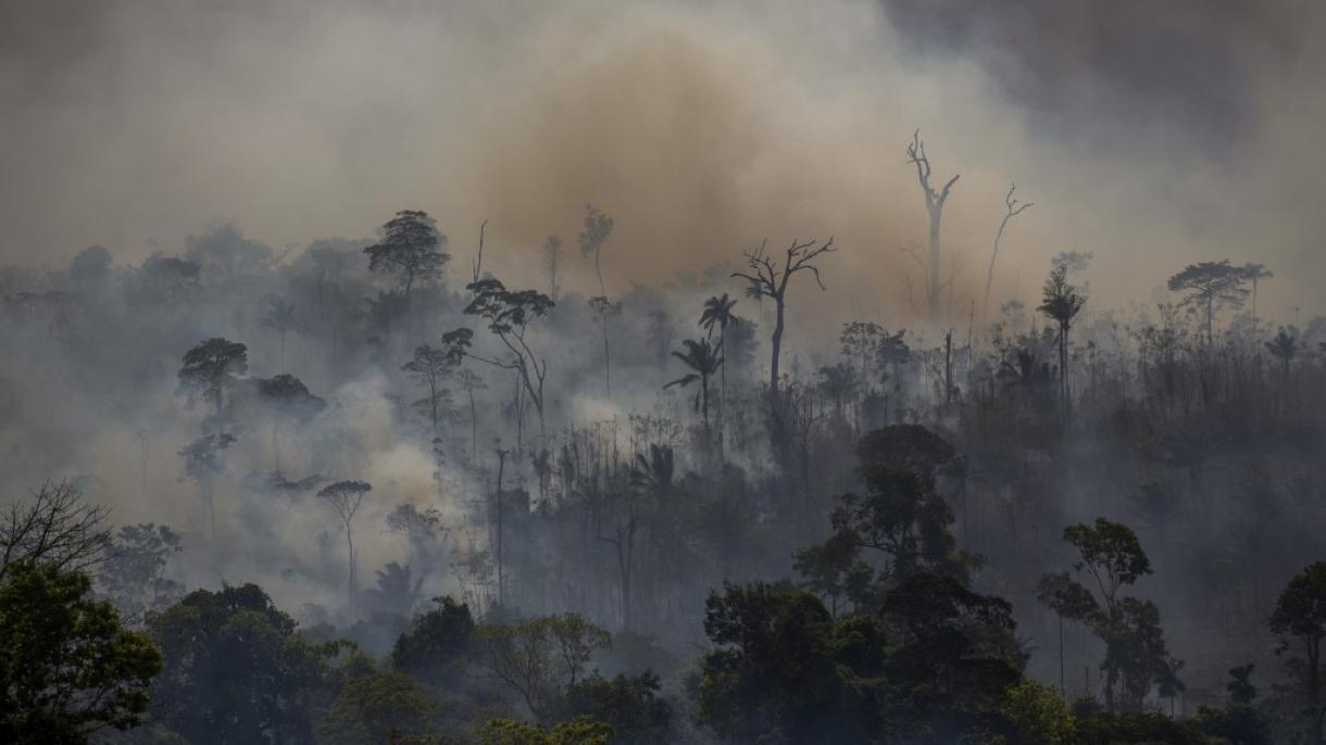 Académicos latinoamericanos advierten sobre los efectos en la salud de incendios en la Amazonía