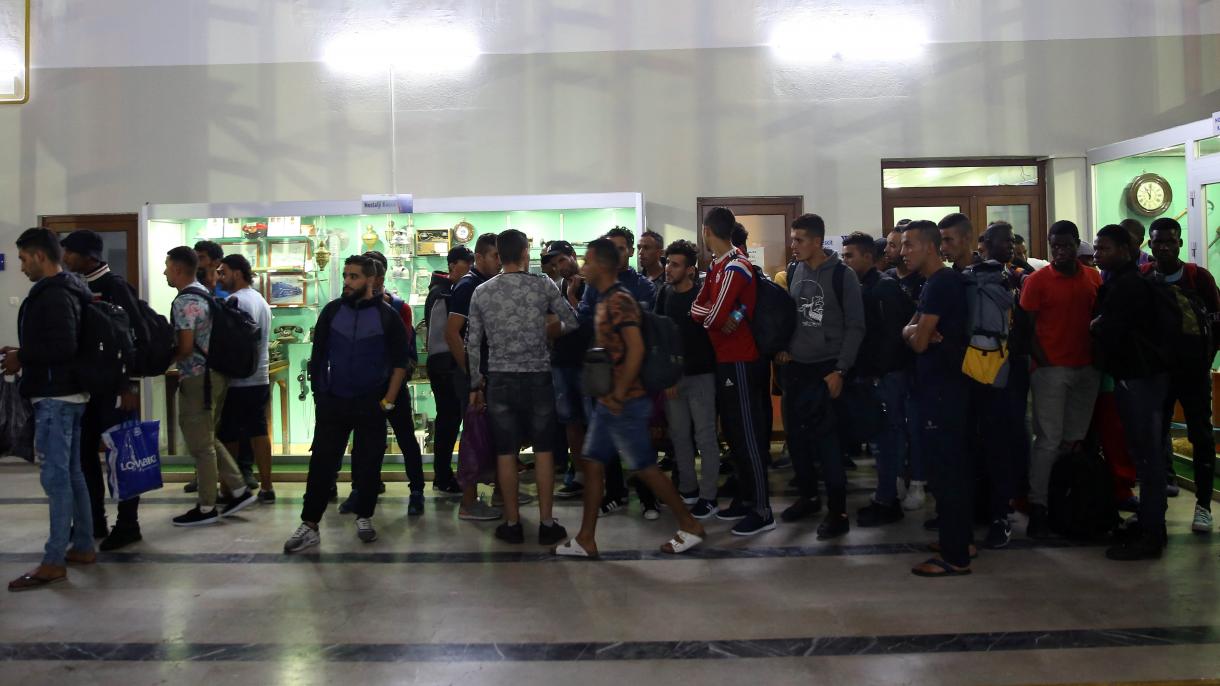 Capturan a 264 inmigrantes irregulares en Edirne
