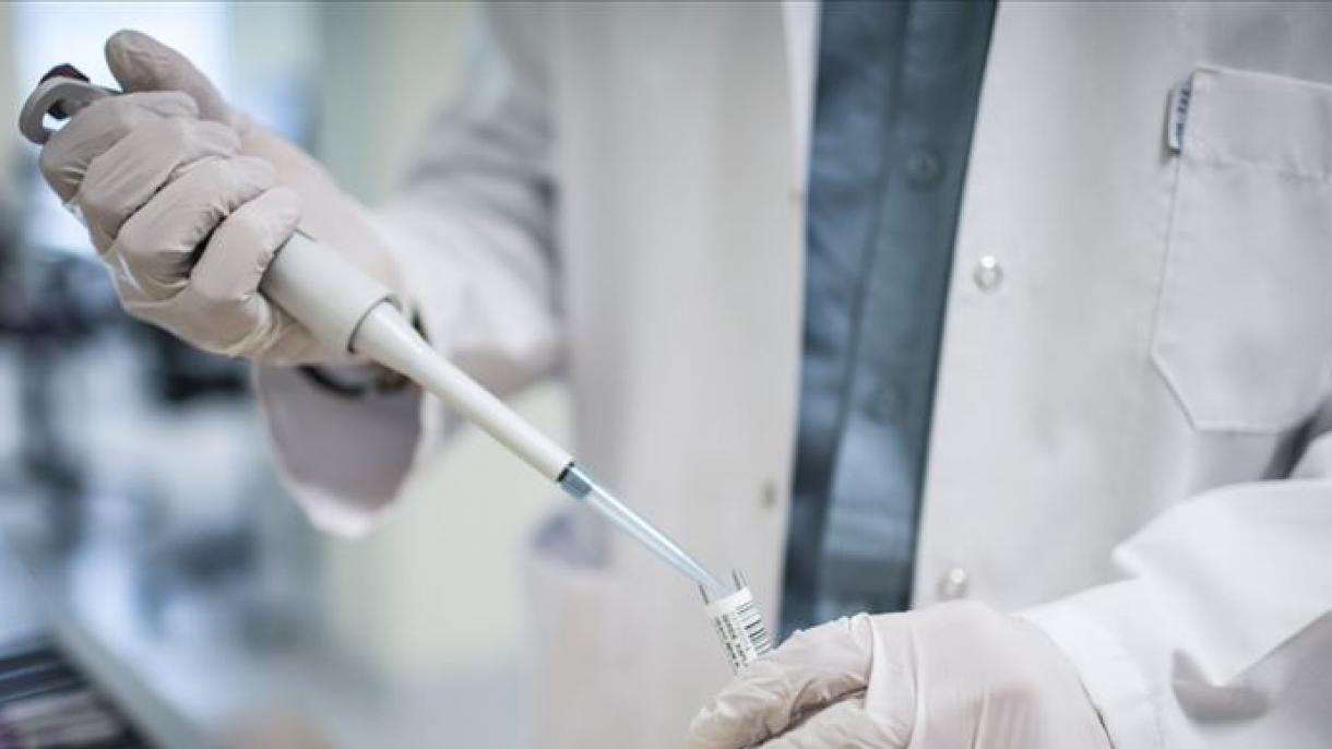 Científicos estadounidenses investigan la eficacia de célula madre en tratar coronavirus