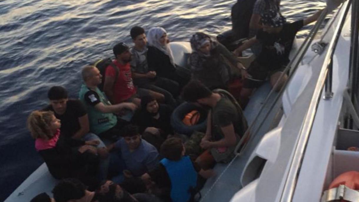 بازداشت 34 مهاجر غیرقانونی در کوش آداسی