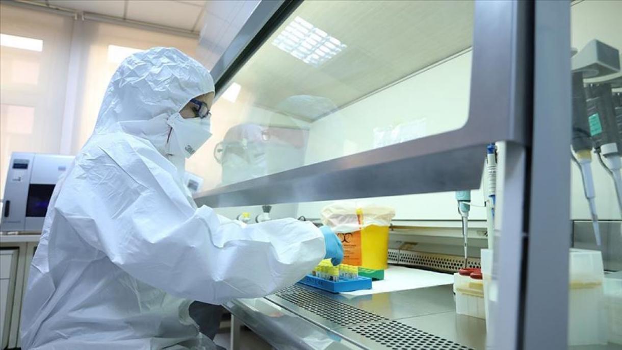 Világszerte fejlesztik a koronavírus elleni oltóanyagot