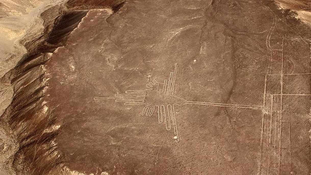 کشف نمونه های جدیدی از خطوط نازکا در پیرو