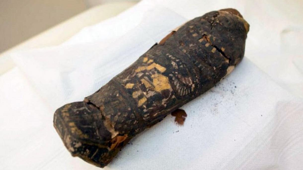Мысырда 3 мың 500 жылдық 6 мумия табылды