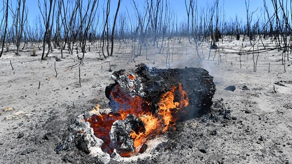 Las llamas están completamente bajo control en Australia