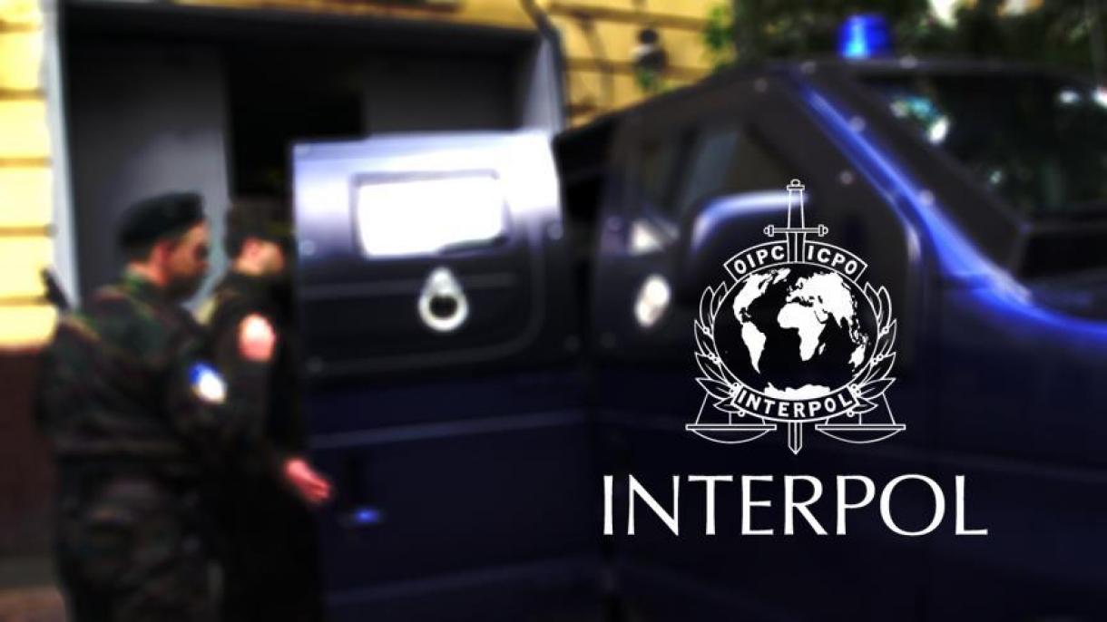 28 embercsempészt fogtak el az Europol akciójában