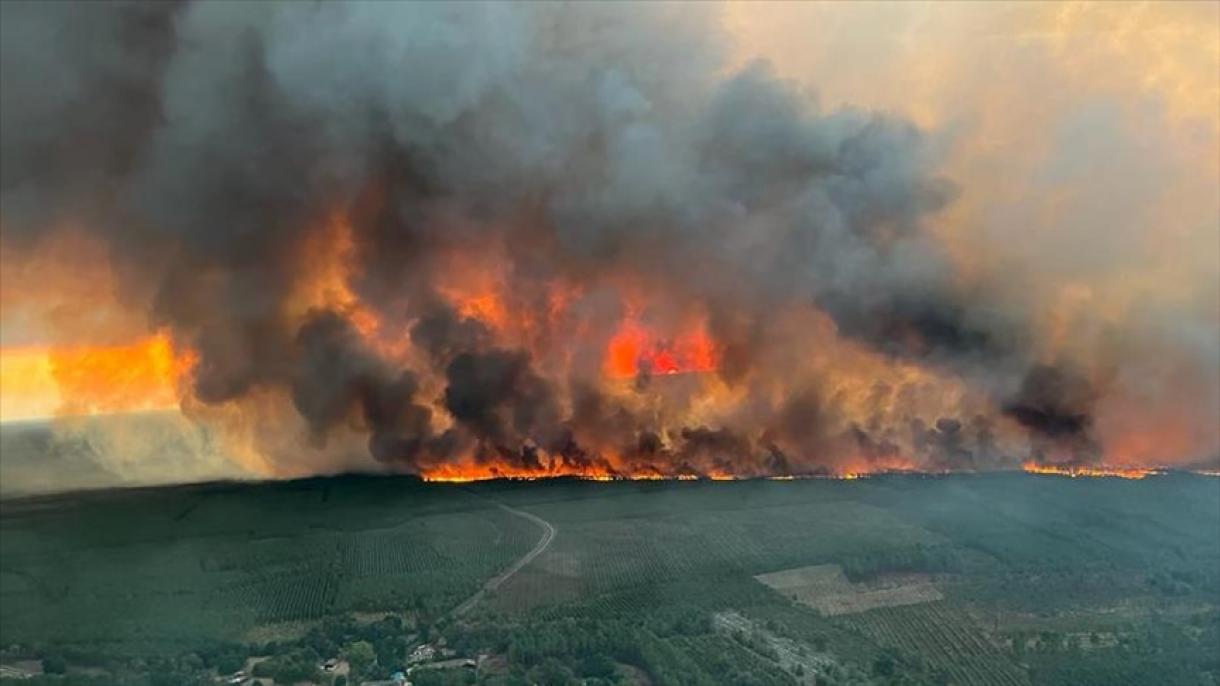 خطہ یورپ گرمی کی شدید لہر اور جنگلات کی آگ سے بری طرح متاثر
