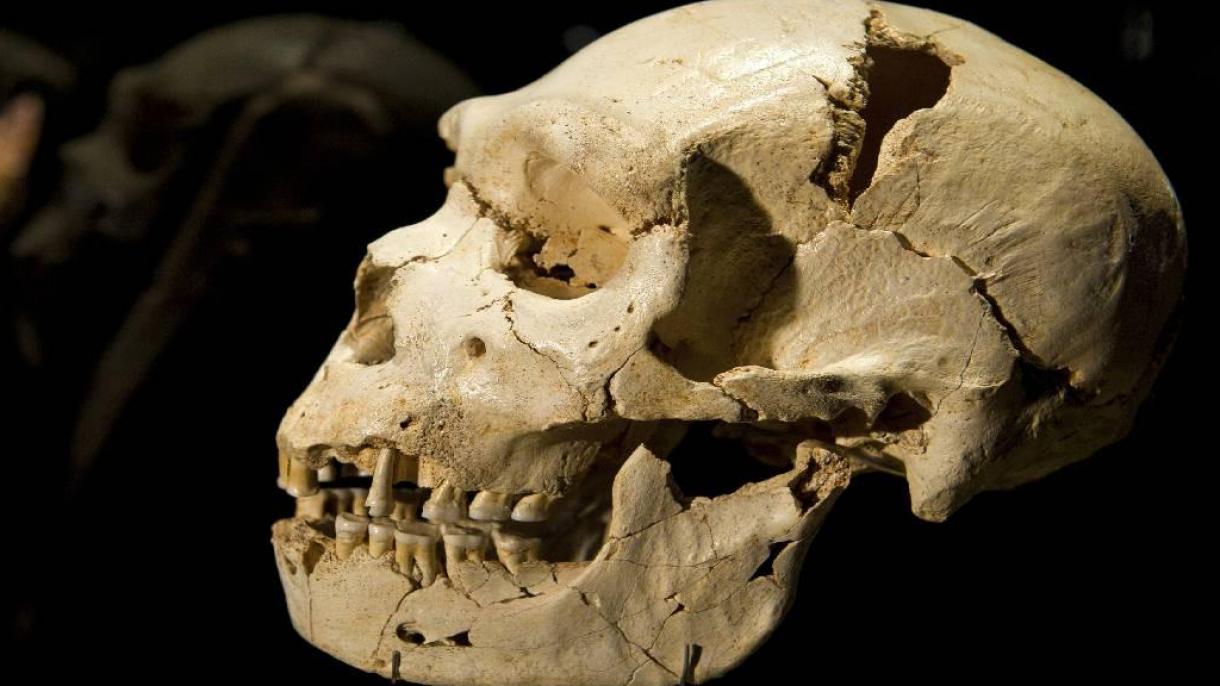 Több ezer éves koponyacsont került elő Minnesotában