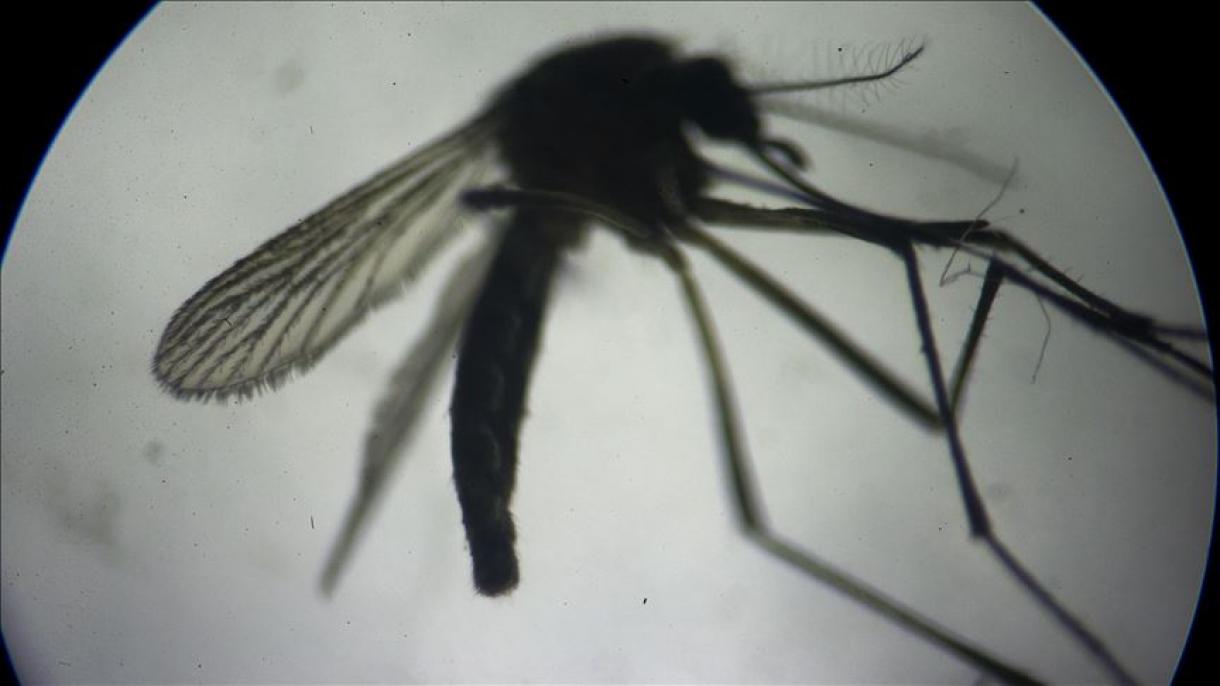 Bangladés rompe récord de número de infectados con dengue en un día