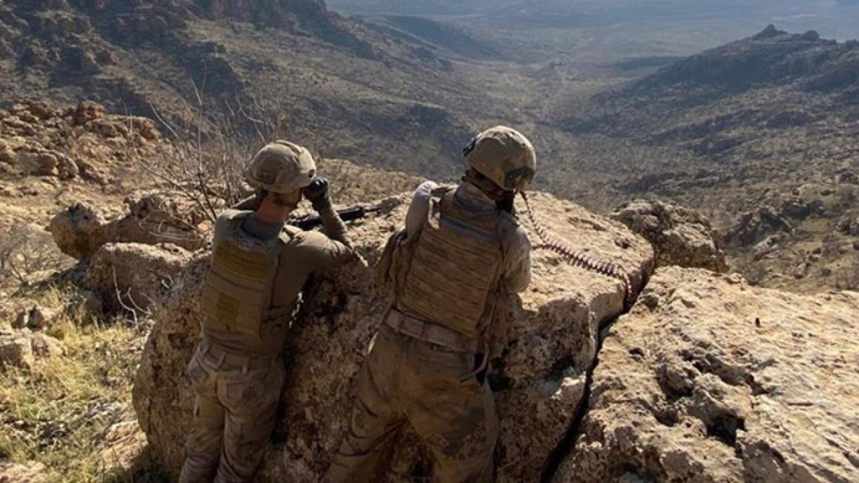 Terrorista ricercato nella categoria grigia è stato fermato a Şırnak