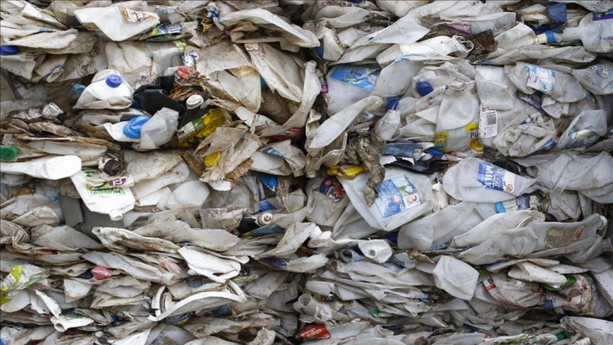 Ministra indonesia: en 2030 habrá más plásticos que peces en el mar