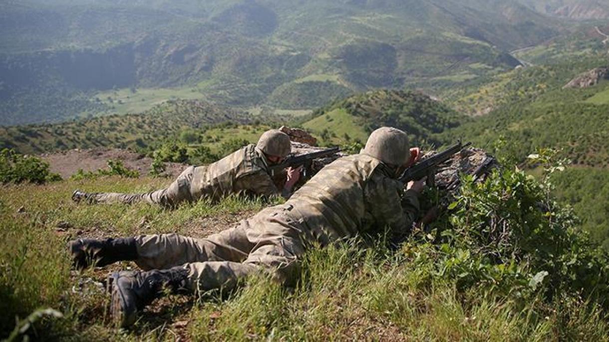 被列在绿色通缉令中的PKK恐怖分子遭击毙