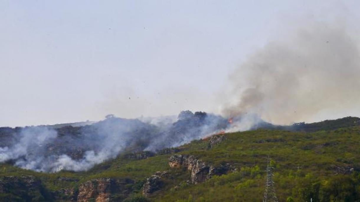 آتش‌سوزی جنگلی در پاکستان ادامه دارد