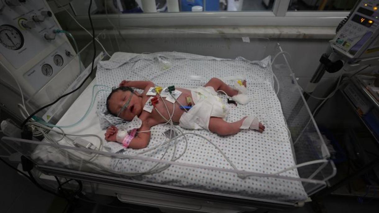 عالمی ادارہ صحت: غزّہ کے شفاء ہسپتال سے ہمارا رابطہ منقطع ہو گیا ہے