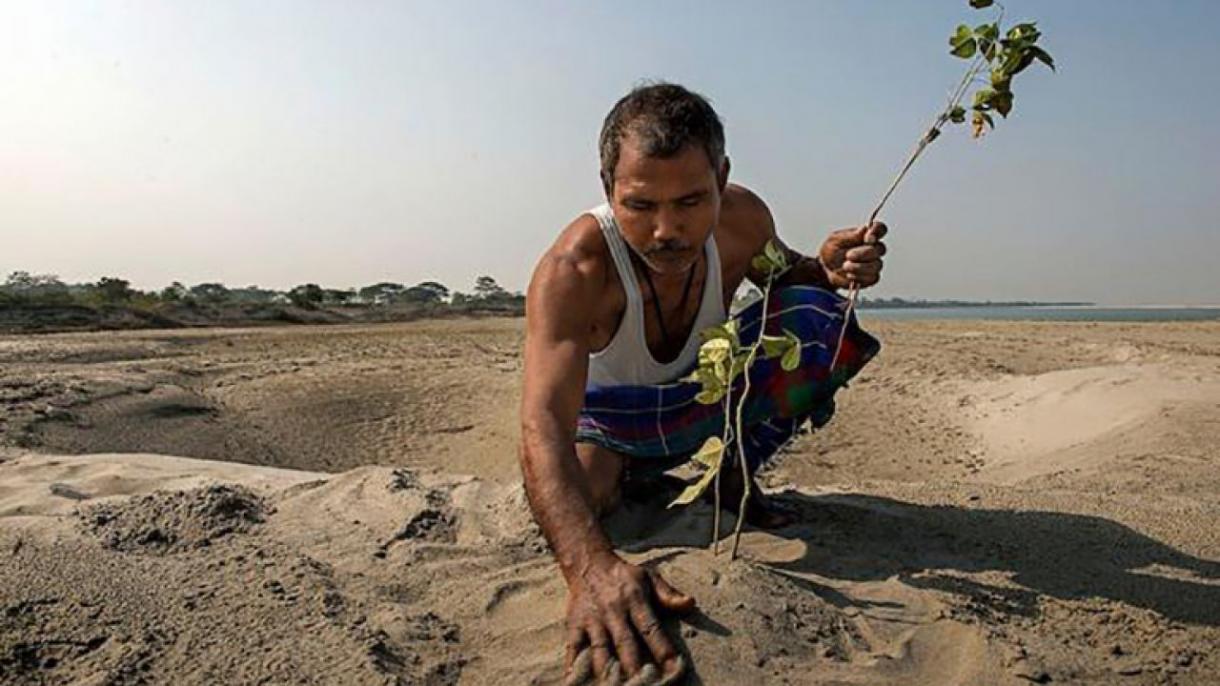 Plantó árboles cada día durante 37 años para arborizar la zona seca en la  India