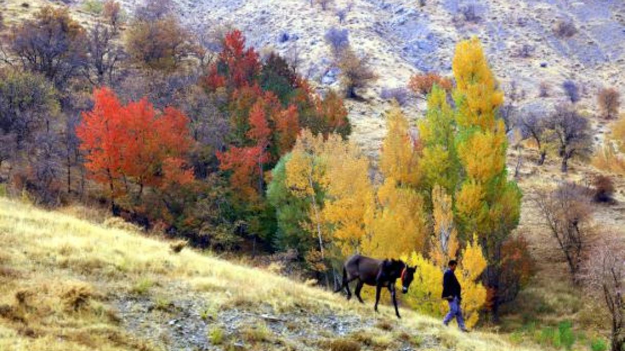 زیبایی‌های "هیزان"، بهشت گمشده ترکیه