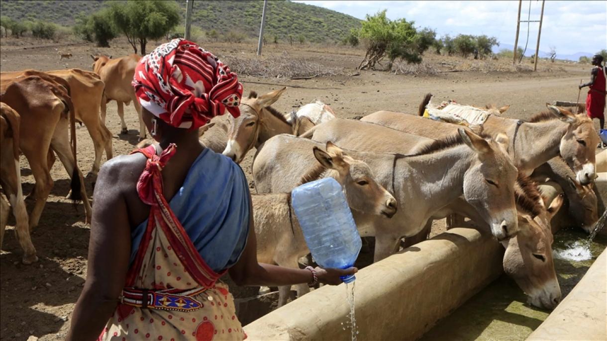La sequía se ha convertido en un problema más peligroso que la pandemia en Kenia