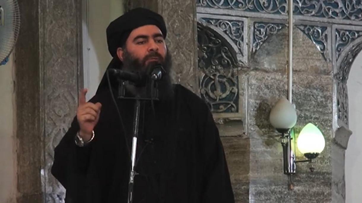 ابوبکر البغدادی نینگ اولگنینی داعش ترور تشکیلاتی تصدیق له دی