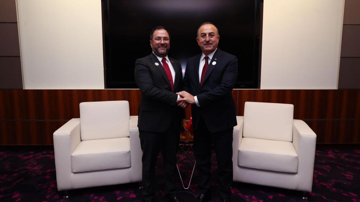 venezuela disisleri bakani yvan gil pinto- cavusoglu doha'da.jpg