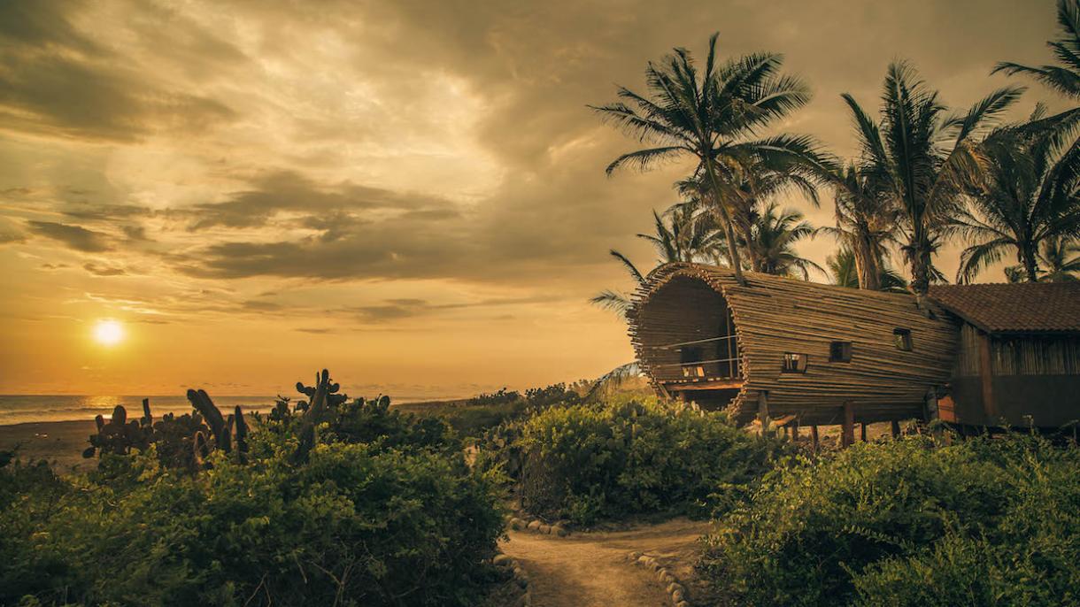 Una casa lujosa de bambú rodeada por las palmeras