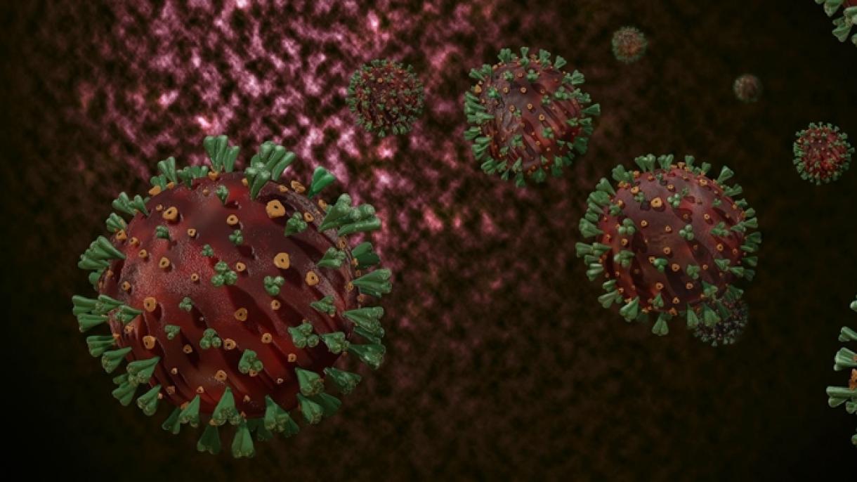 Koronavirus yoqtırğan mäçelär yuq itelde
