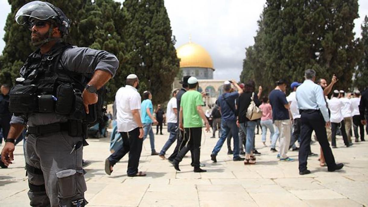 شهرک نشینان یهودی باز هم به مسجد الاقصی یوزش بردند