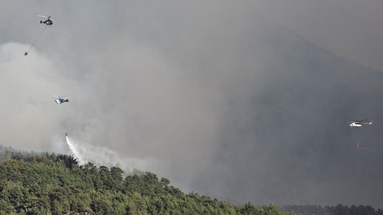 ترکی: جنگل کی آگ پر قابو پانے کے لئے 6 ممالک سے فضائی تعاون