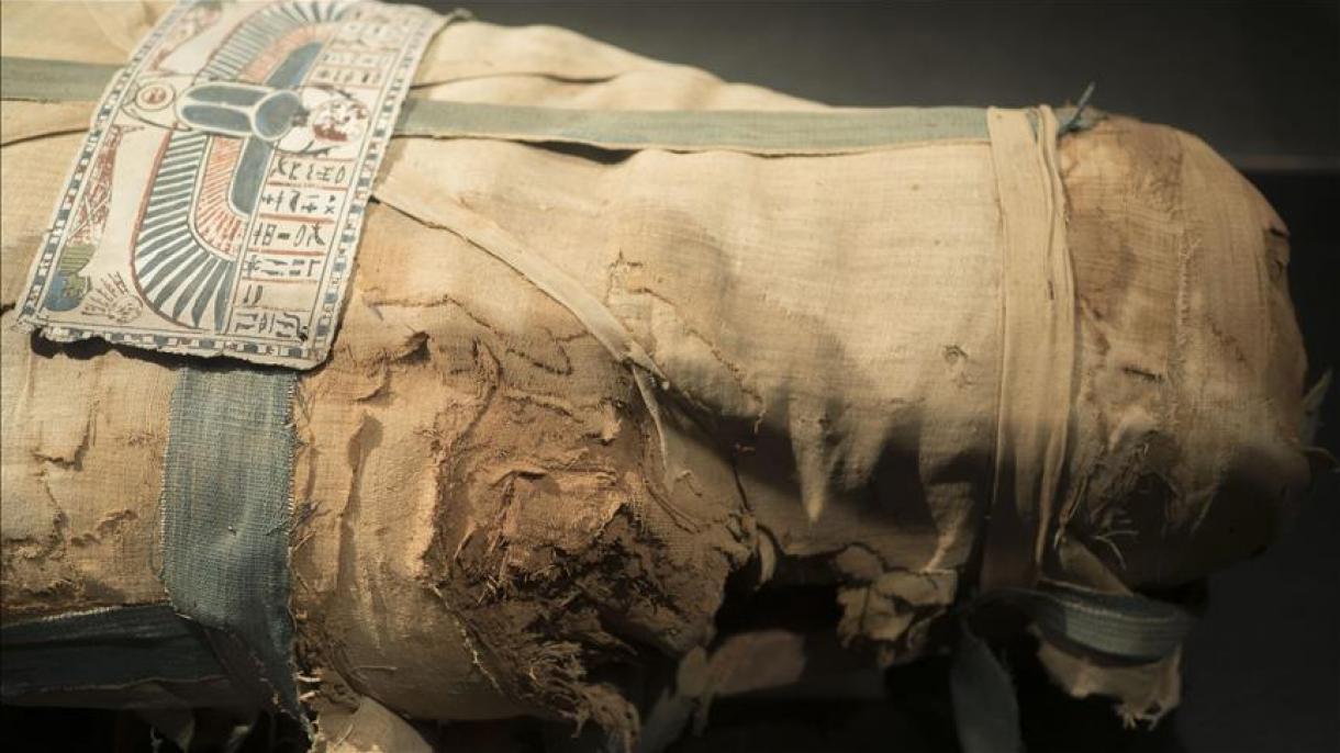 Мысырдың Гиза қаласында 8 мумия табылды