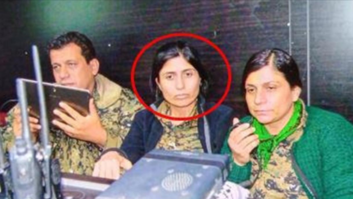 恐怖组织YPG/YPJ所谓的曼比季负责人落网